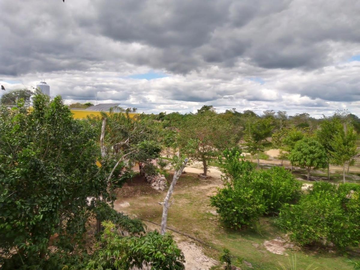 Ecohotel Shalom วัลลาโดลิด ภายนอก รูปภาพ
