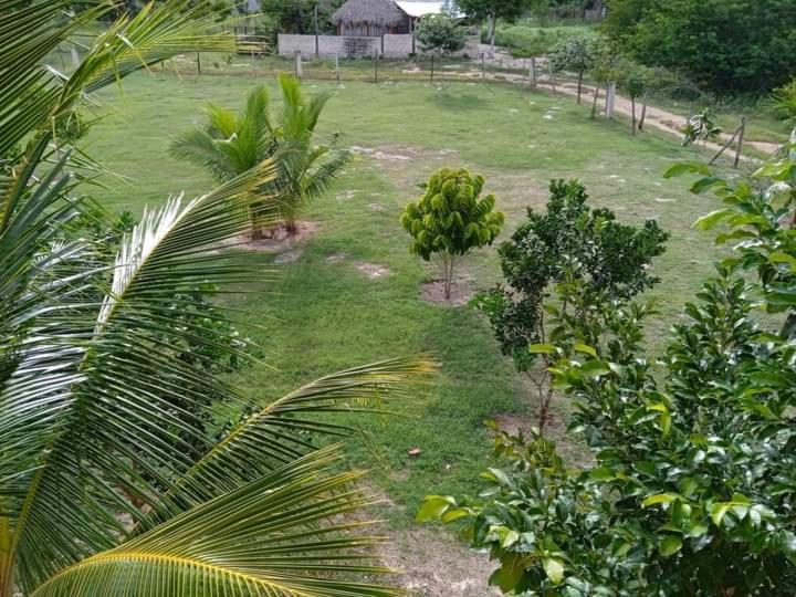 Ecohotel Shalom วัลลาโดลิด ภายนอก รูปภาพ