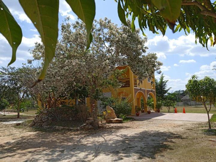 Ecohotel Shalom วัลลาโดลิด ภายนอก รูปภาพ